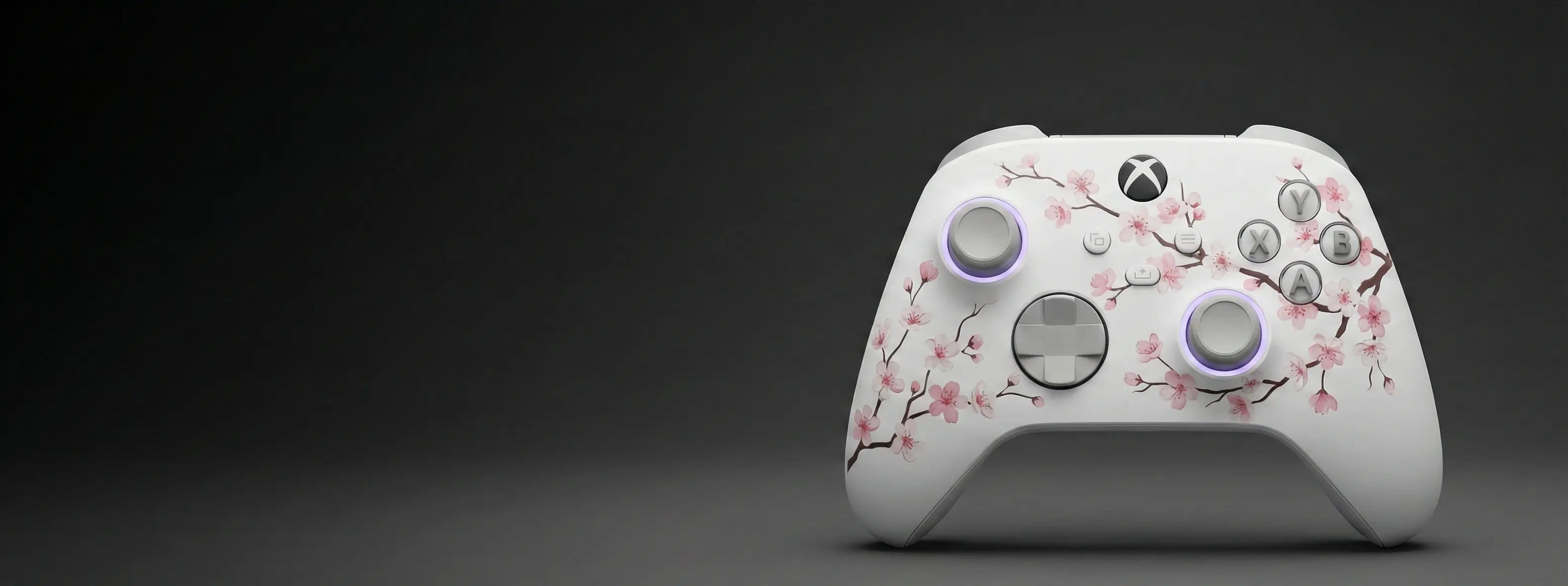 Custom xbox controller NSW